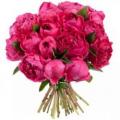 Букеты из красных пионов