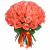 Букет из 51 коралловой розы