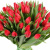 Букет из 51 красного тюльпана Букет из 51 красного тюльпана