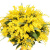 Букет из 21 ветки мимозы