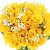 Букет из 55 желтых роз с гипсофилой Букет из 55 желтых роз с гипсофилой