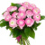Букет из 21 розовый ранункулюс Букет из 21 розовый ранункулюс