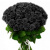 Букет траурный из 50 роз Букет траурный из 50 роз
