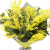Букет из 7 веток мимозы в крафте Букет из 7 веток мимозы в крафте