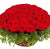 Корзина из 101 красной розы с зеленью