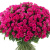 Букет из 101 малиновой кустовой розы Букет из 101 малиновой кустовой розы