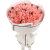 Букет из 51 коралловой розы Букет из 51 коралловой розы