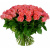 Букет из 55 коралловых роз Букет из 55 коралловых роз