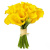 Букет из 15 желтых калл Букет из 15 желтых калл