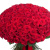 Букет из 201 красной розы Букет из 201 красной розы