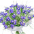 Букет из ирисов с гипсофилой Букет из ирисов с гипсофилой