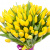 Букет из 101 желтого тюльпана Букет из 101 желтого тюльпана