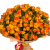 Букет из 25 кустовых оранжевых роз