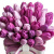 Букет из 51 сиреневого тюльпана в коробке Букет из 51 сиреневого тюльпана в коробке